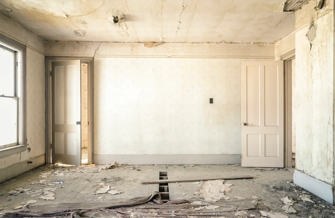 Waste disposal crew managing a cleanout project in West Springfield